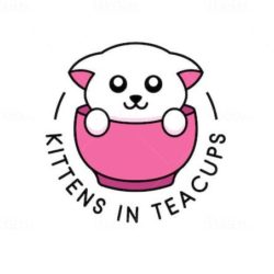 Kittens in Teacups